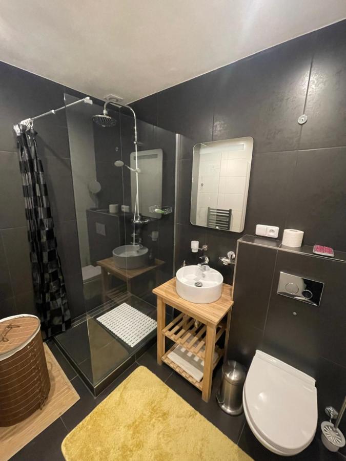 Pension Vlevo Dole - No 6 Рокитніце-над-Їзероу Екстер'єр фото